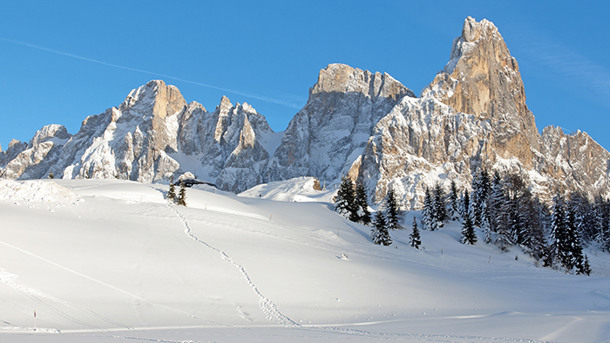 HOTEL MAJESTIC DOLOMITI immagine generale