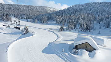 HOTEL ROMANDA