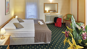 HOTEL MRAK immagine n.3