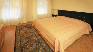 HOTEL AURONZO immagine n.3