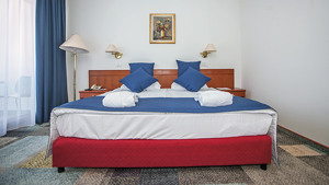 HOTEL TOPLICE immagine n.3