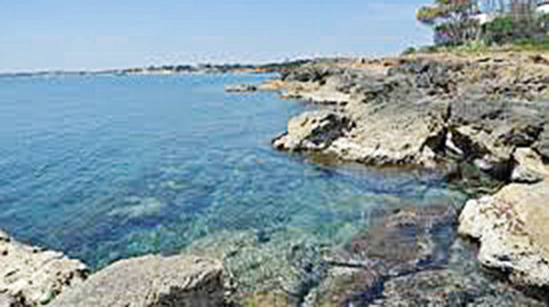 CALABERNARDO RESORT immagine generale
