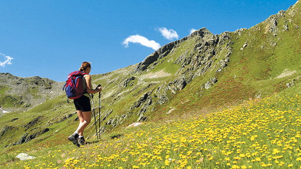 RIFUGIO ALANTINO immagine generale