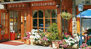 HOTEL RODODENDRO immagine n.2