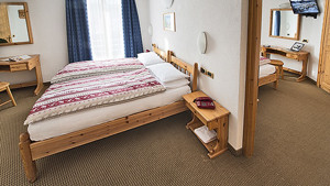 HOTEL ALPEN VILLAGE immagine n.3