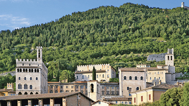 HOTEL BENIAMINO UBALDI immagine generale