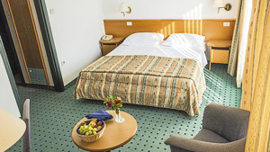 HOTEL VILE PARK immagine n.3