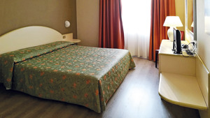 HOTEL DES ALPES immagine n.3