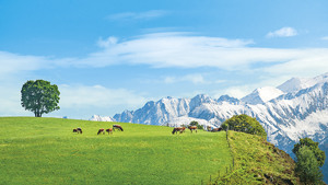 HOTEL GRUNDLHOF immagine n.2