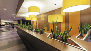HOTEL WELL immagine n.2