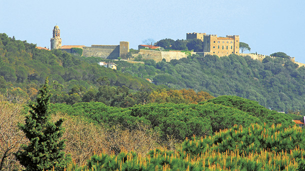 RESIDENCE PARK SOLEMAREMMA immagine generale