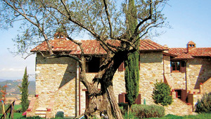 RELAIS LA FATTORIA immagine n.2