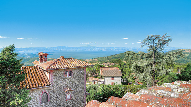 RELAIS LA FATTORIA immagine generale