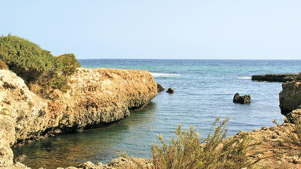 CAMPING VILLAGGIO LAMAFORCA immagine generale