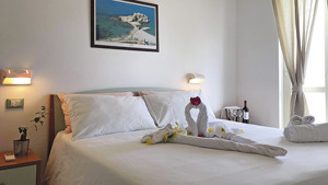 HOTEL EOLO CAPO VATICANO immagine n.3