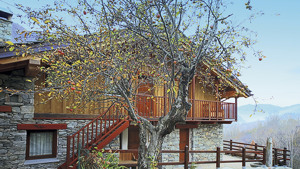 MAISON DOMINIQUE immagine n.2