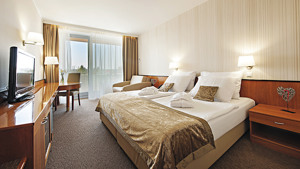 HOTEL RADIN immagine n.3