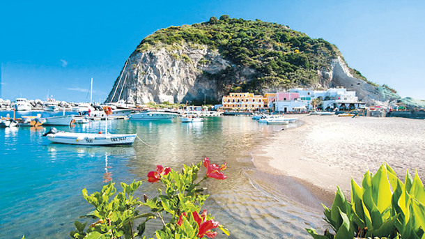 HOTEL LA GINESTRA immagine generale