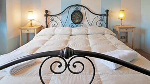 AGRITURISMO IL POSTO DELLE MORE immagine n.3