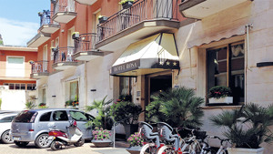HOTEL ROSA immagine n.2