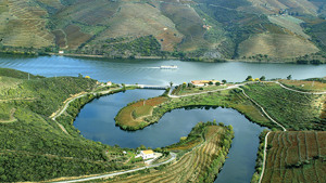 CROCIERA FLUVIALE SUL DOURO immagine n.2