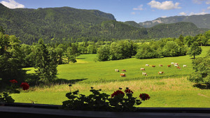NATURE HOTEL LUKANC immagine n.2