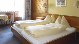 HOTEL GARNI VIKTORIA immagine n.3