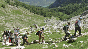 HOTEL PAGNANI immagine n.2