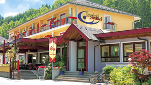 HOTEL SEEBLICK immagine n.2