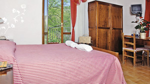 HOTEL SANT UBERTO immagine n.3