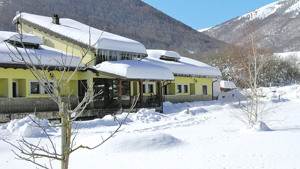 HOTEL COCOON immagine n.2