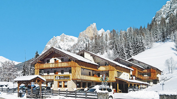 HOTEL ORSO GRIGIO immagine generale
