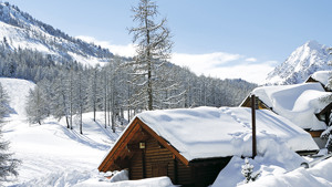 HOTEL PASSERO PELLEGRINO immagine n.2