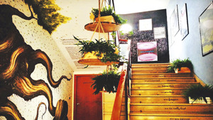 HOTEL ARCA immagine n.3