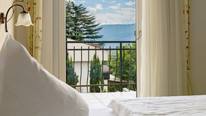 HOTEL VILLA LAURUS immagine n.3