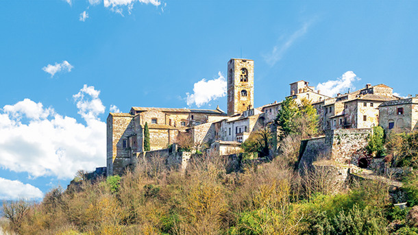 HOTEL PALAZZO PACINI immagine generale