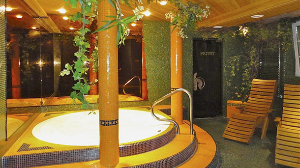 HOTEL CHALET OLYMPIA immagine generale