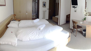 HOTEL CHALET OLYMPIA immagine n.2