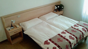 HOTEL ERICA immagine n.3