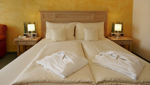 DAS HOTEL EDEN immagine n.3
