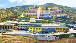 GH AVALON SIKANI' RESORT immagine n.2