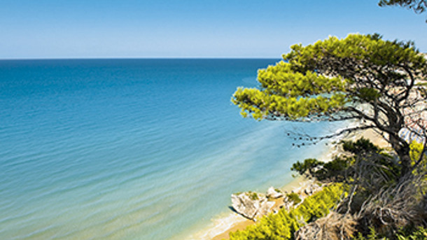 CAMPING VILLAGGIO INTERNAZIONALE immagine generale
