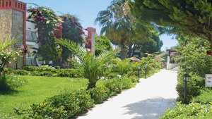 HOTEL KRISS immagine n.2
