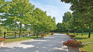 CALAMIDORO HOTEL immagine n.2