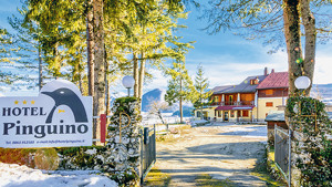 HOTEL PINGUINO immagine n.2