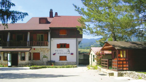 HOTEL PINGUINO immagine generale