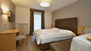 X ALP HOTEL immagine n.3