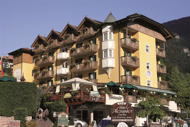 ALEXANDER HOTEL ALPINE WELLNESS DOLOMITES immagine n.8