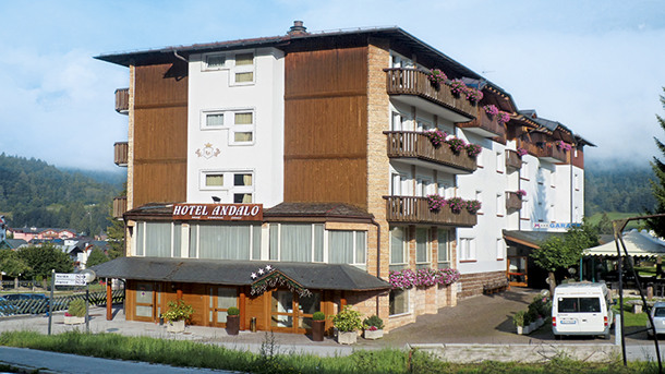 HOTEL ANDALO immagine generale