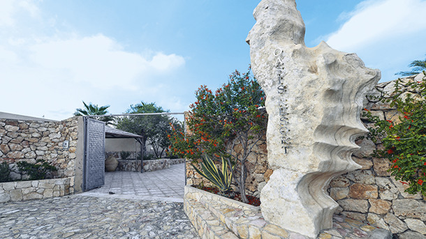 OASIS RESORT immagine generale